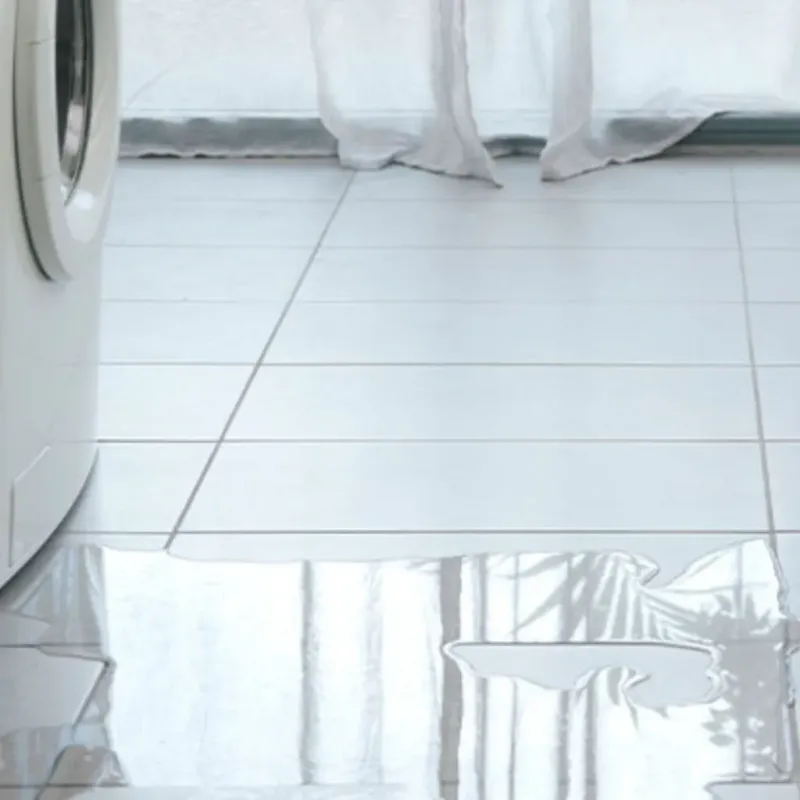 Appliance Leak Cleanup in Burlington, WI