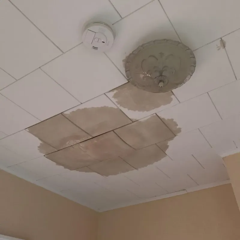Ceiling Water Damage Repair in Burlington, WI