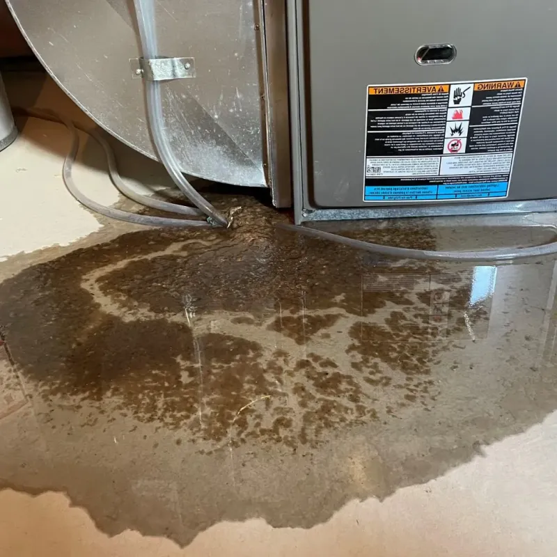Pipe Burst and Leak Restoration in Burlington, WI