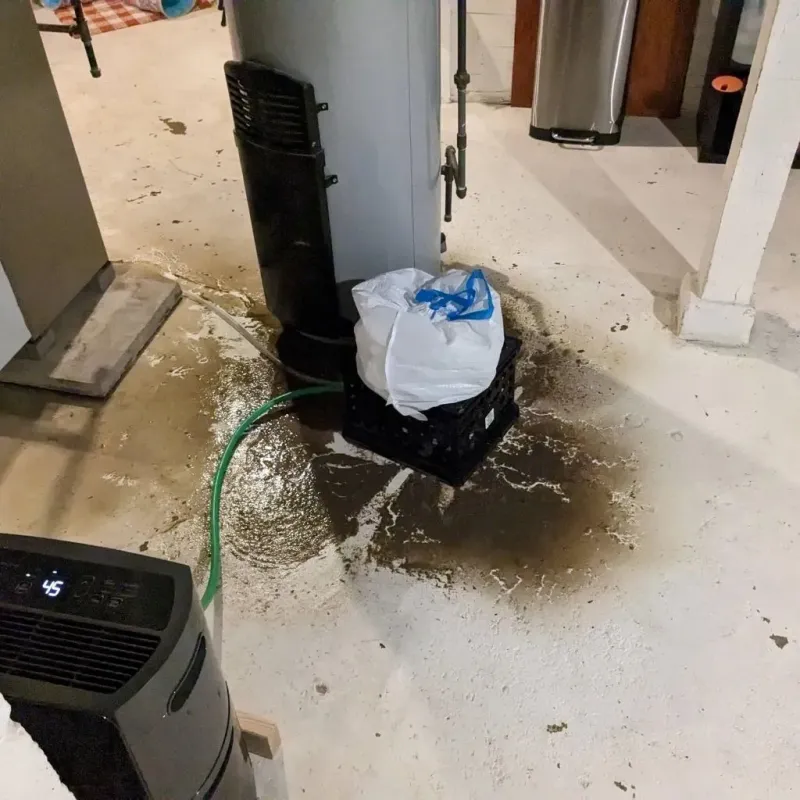 Sewage Backup Cleanup Service in Burlington, WI